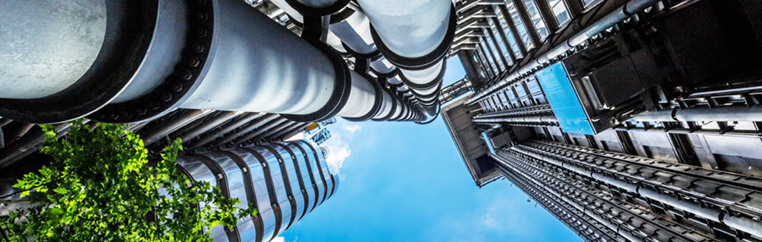 Steve Zangari_stevezangari-qanda-blog-image3_IA_Global_Reasons_for_Success_of_High_Growth_Firms_Blog_Image